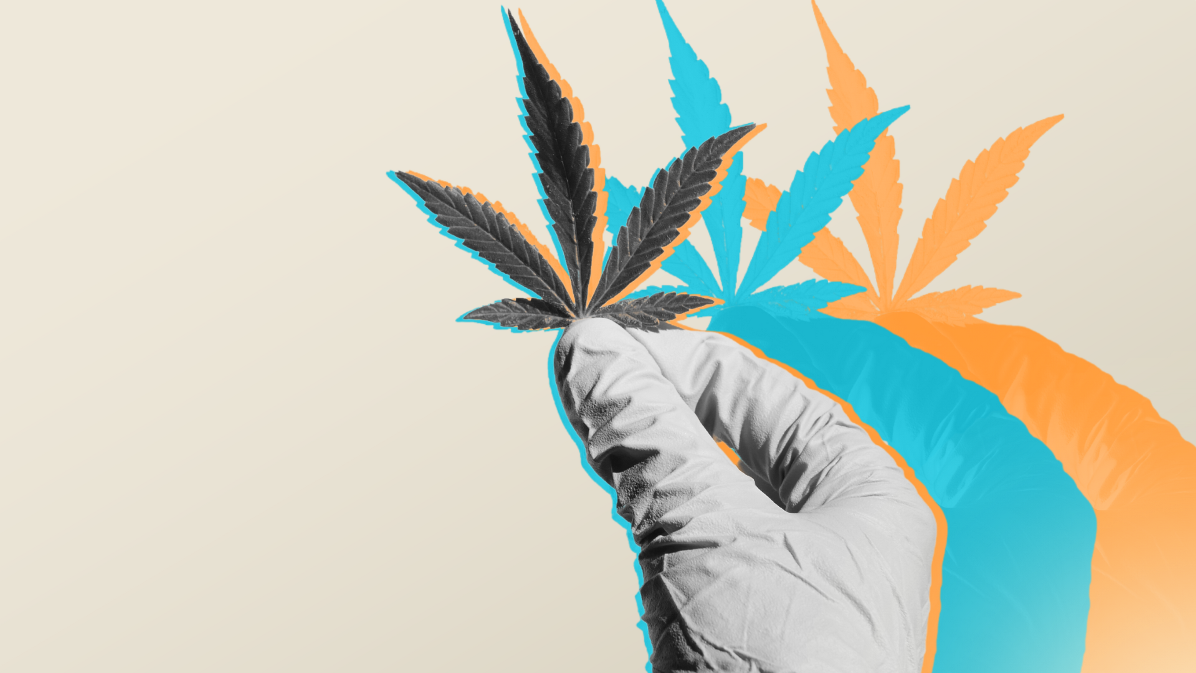 About Cannabis Channel